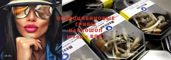гидра Володарск