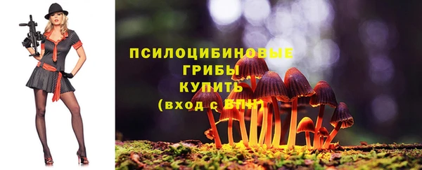 гидра Володарск