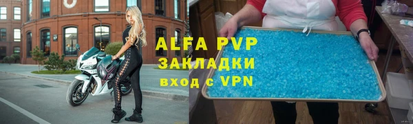 гидра Володарск