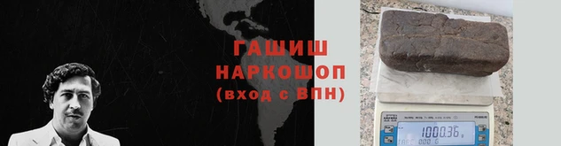 гидра Володарск