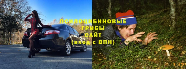 сатива Волосово