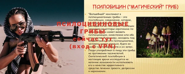 сатива Волосово