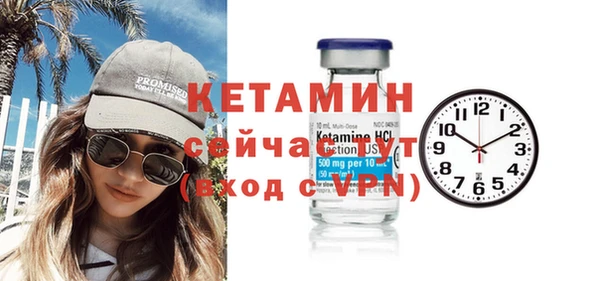 гидра Володарск