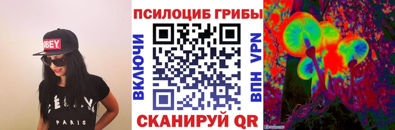 Галлюциногенные грибы Psilocybe  Купить закладки  Буйнакск 
